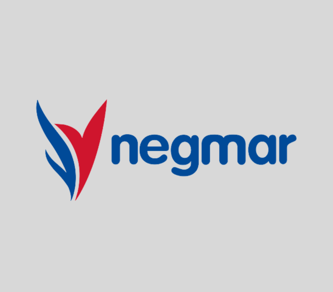 Narlı Feribot İşletmeciliği A.Ş. logosu