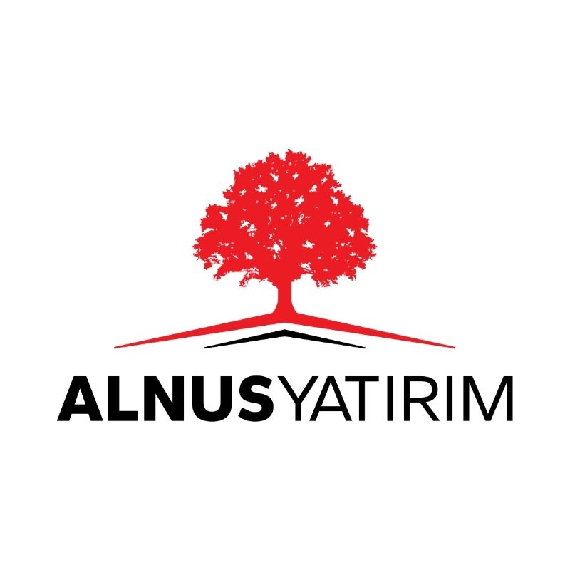 Alnus Yatırım Menkul Değerler A.Ş. logosu