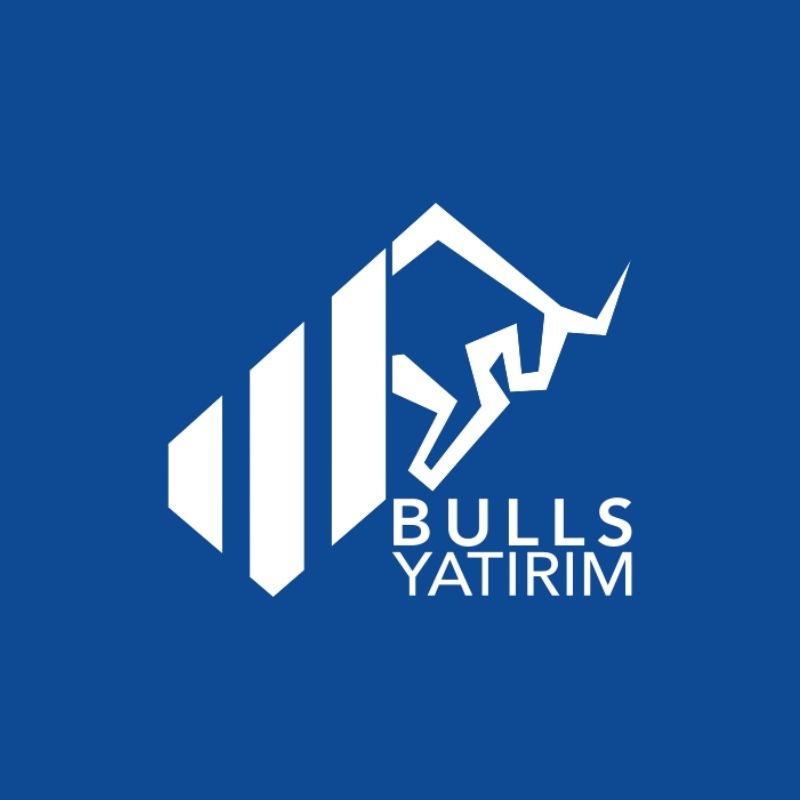 Bulls Yatırım Menkul Değerler A.Ş. logosu