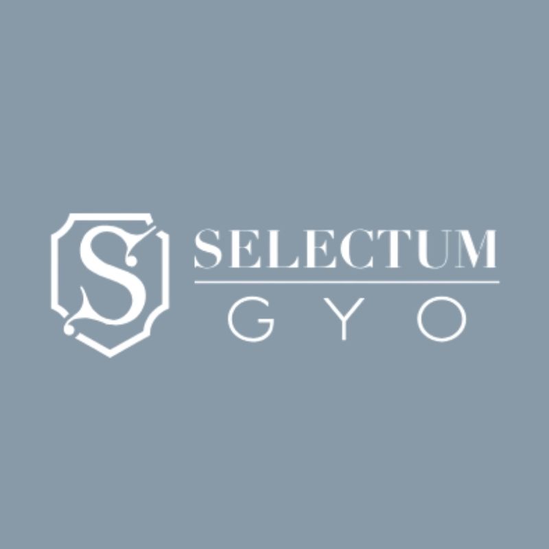 Selectum Gayrimenkul Yatırım Ortaklığı A.Ş. logosu